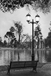 Tombe la nuit sur le lac de la Quinta Normal - Santiago