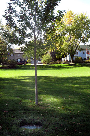 Salvador Allende. Strathcona Park, Ottawa, Canada