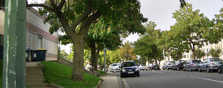 Boulevard Salvador Allende. En el mundo