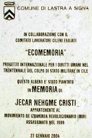 Jecar Nehgme Cristi