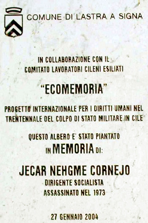 Jecar Nehgme Cornejo