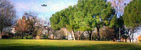 parque Salvador Allende. Coslada, España