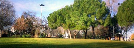 parque Salvador Allende. Coslada, España