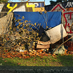 photo Fernando Orellana